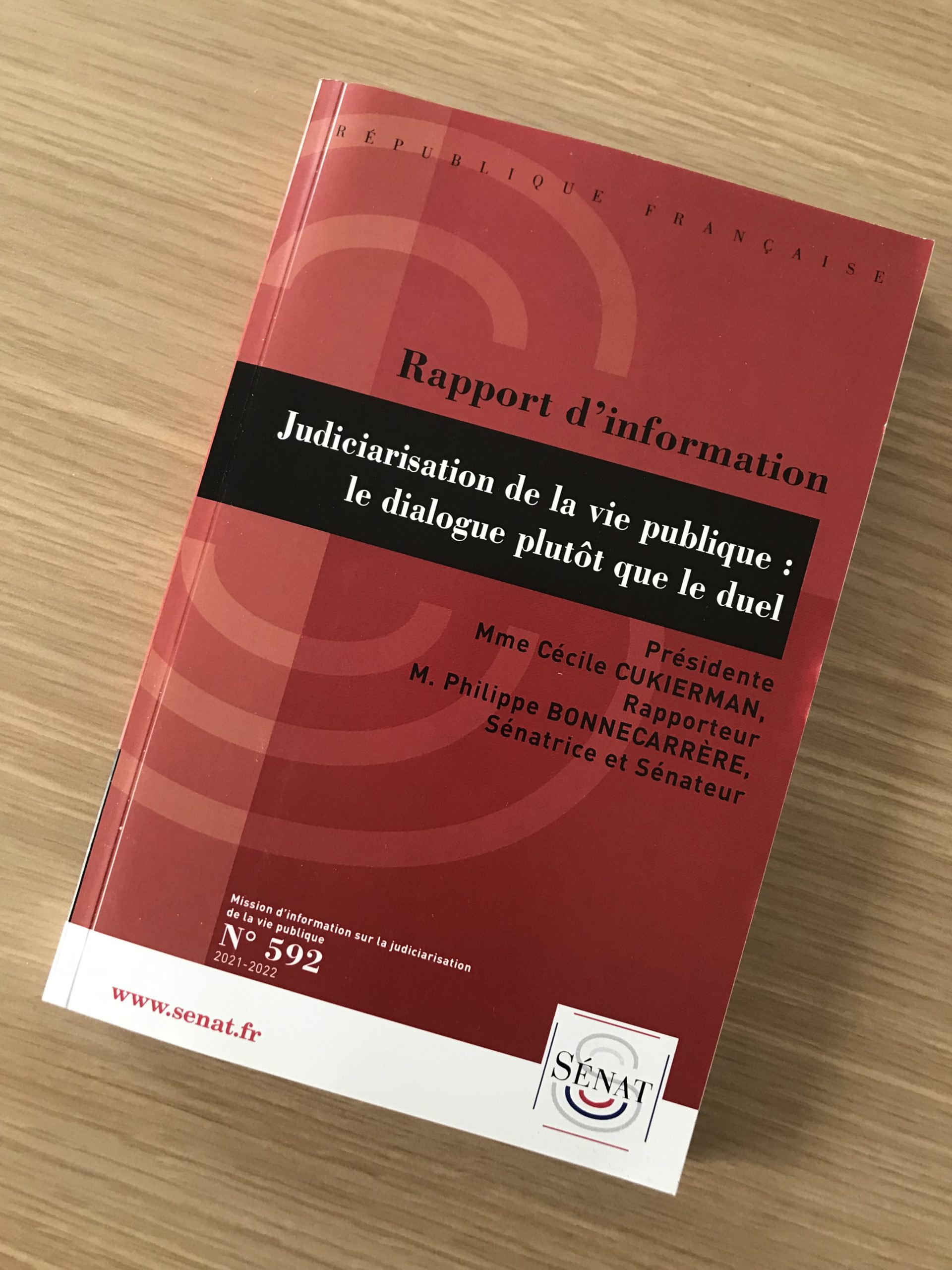 Rapport sur la judiciarisation de la vie publique